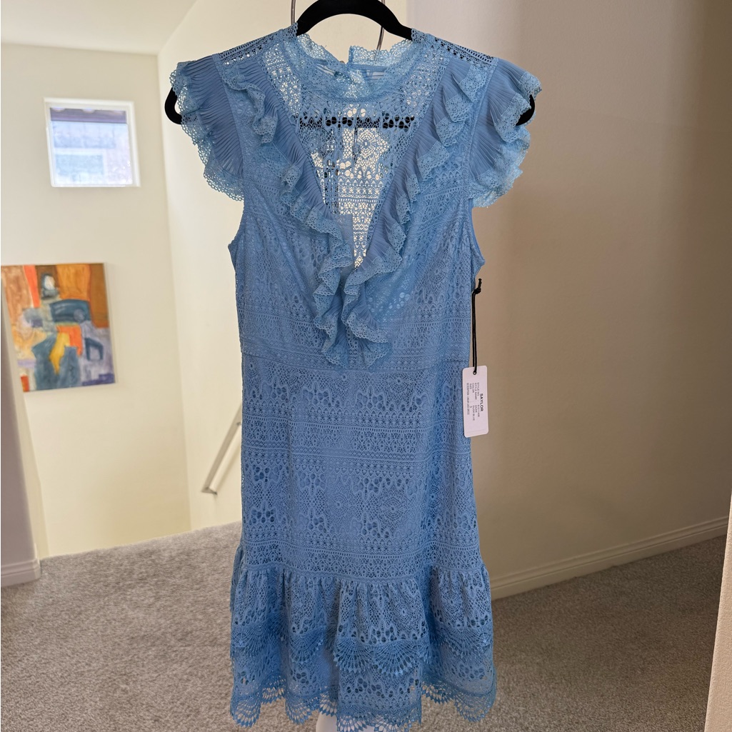 Saylor Blue Ruffled Lace Mini Dress (Never Worn!)